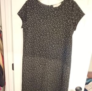 Black leopard Ann Tayor Loft sheath dress size Medium.
